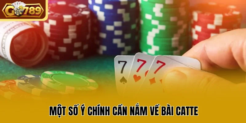 Một số ý chính cần nắm về bài Catte 