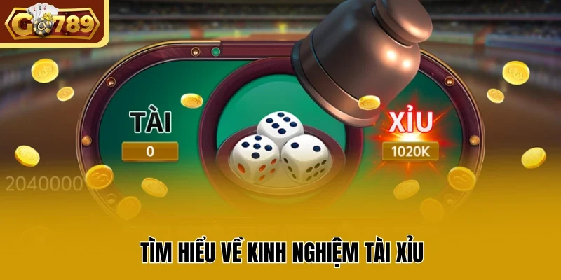 Tìm hiểu về kinh nghiệm tài xỉu 